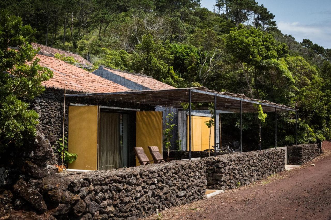 Casas Do Amarelo